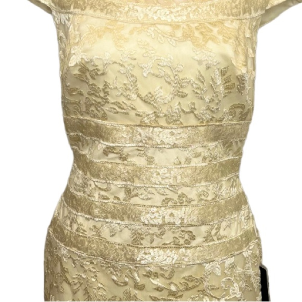 IziLady Dress Size 12